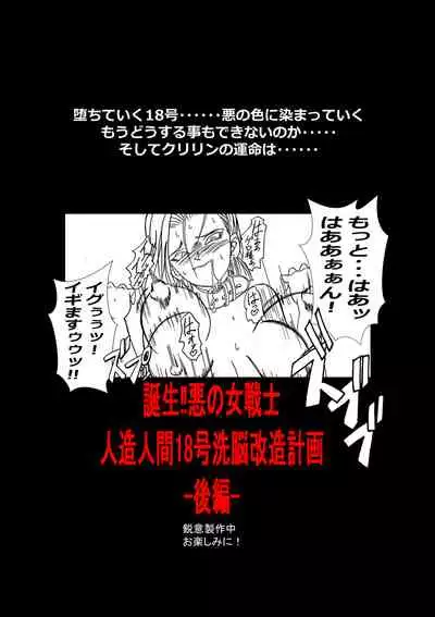 [Light Rate Port Pink] Tanjou!! Aku no Onna Senshi Jinzou Ningen 18-gou Sennou Kaizou Keikaku -Zenpen- (Dragon Ball Z)