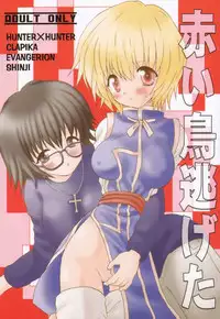 (C58) [KuruGuru DNA, Haniwa Mania (Hoshiai Hilo, Pon Takahanada)] Akai Tori Nigeta (Hunter x Hunter, Neon Genesis Evangelion)