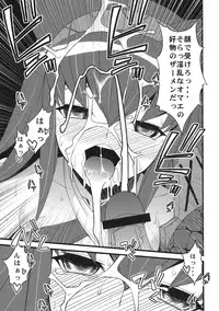 (C79) [Sanazura Doujinshi Hakkoujo (Sanazura Hiroyuki)] Kaikin! Daishusai (Monster Hunter)