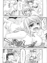 (COMIC1☆5) [CRIMSON GROUND (Miyashiro Sousuke)] Schwarzer Rafale (Infinite Stratos)