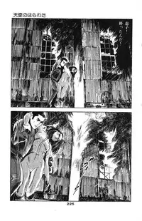 [Takashi Ishii] Tenshi no Harawata Vol. 02