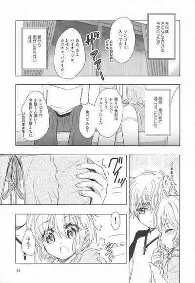 (C96) [Moku. (Yumako, Kaede Sago, Hachimitsu Yu) Suki na Hito to wa 〇〇 Shitai (Cardcaptor Sakura)