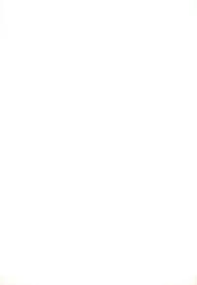 (C67) [Kouyadou (Mizuki Eimu)] USA FORCE (Gotcha Force)