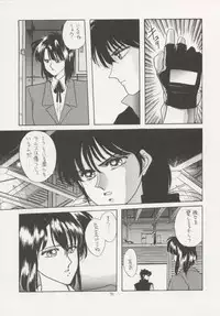 (C43) [Secret Society M (Kitahara Aki)] ANICE (Sonic Soldier Borgman)