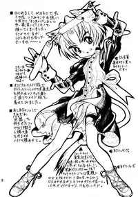 (C56) [.30-06 (Tsutsumi Akari)] CAZA MAYOR ~'99 estio~