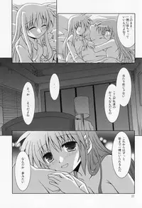 (C77) [Sagamani. (Sagami Inumaru)] Yoru ga Akeru made (Mahou Shoujo Lyrical Nanoha)
