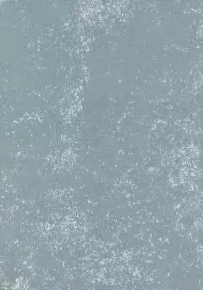 Mahiru no Hoshi wa Mienai