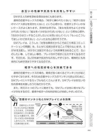いますぐデキる 図説SMプレイマニュアル