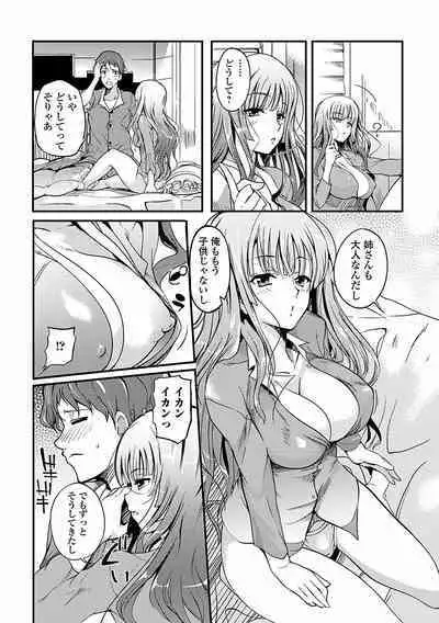 Inshokukei Oneesan ga Shitaikoto