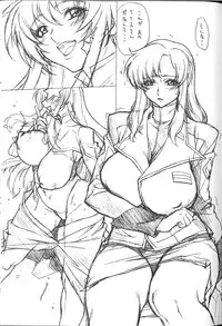 [TITANCOLOR BRAND (Inoue Takuya)] Chichishiki 4.5 -Tora Ver- (Kidou Senshi Gundam SEED DESTINY)