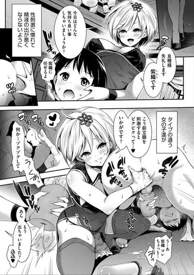 Harem Maid No Damedame Ecchi