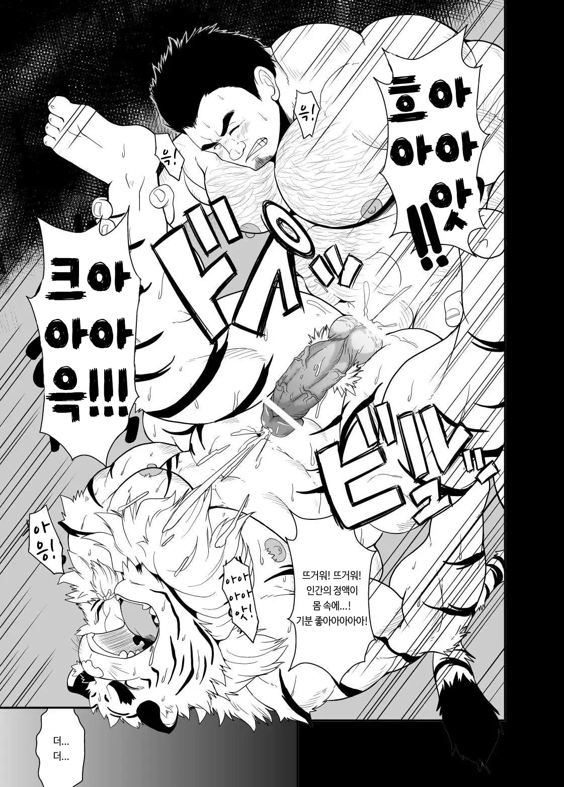 Toradorei -KEMONO Company 2- | 호랑이 노예 -KEMONO 컴퍼니 2- .