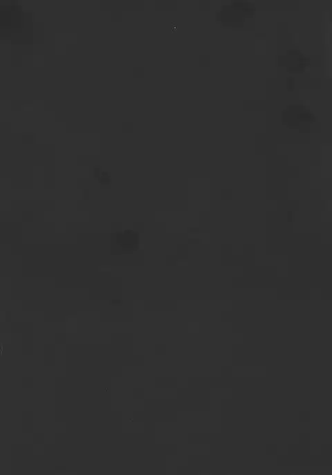 Chocolat Haijo Irai 02