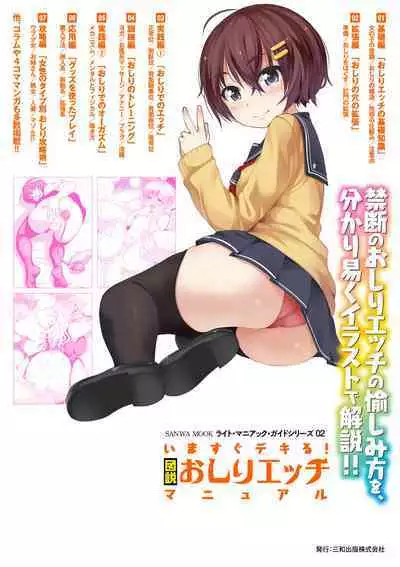 いますぐデキる 図説おしりエッチマニュアル