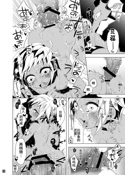 Driland パーン受本 Matome