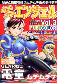 [MuchiMuchi7 (Terada Tsugeo)] MuchiMuchi Angel Vol. 3 (Street Fighter, Neon Genesis Evangelion) [Chinese] [凶兆个人汉化]