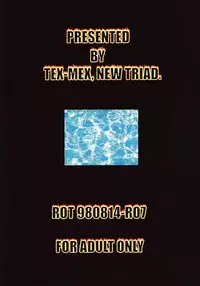 (C54) [TEX-MEX (Red Bear)] Ground Zero (Street Fighter)