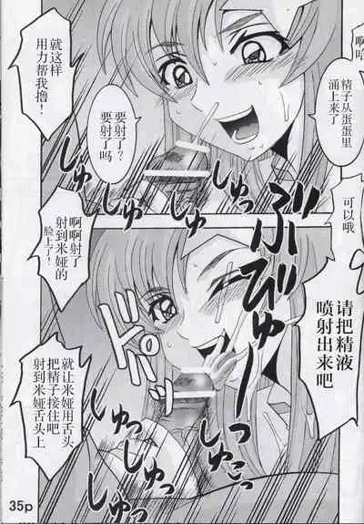 [St. Rio (Kitty, Kouenji Rei)] COSMIC BREED 5 (Gundam SEED DESTINY) [Chinese] [零食汉化组]