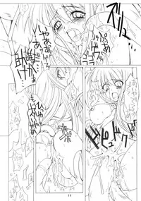 (C69) [SION (Hotori)] ASSUMPTIO (Ragnarok Online)