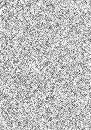 Intou Joubo ~Yukemuri ni Ukabu Bibo no Karada