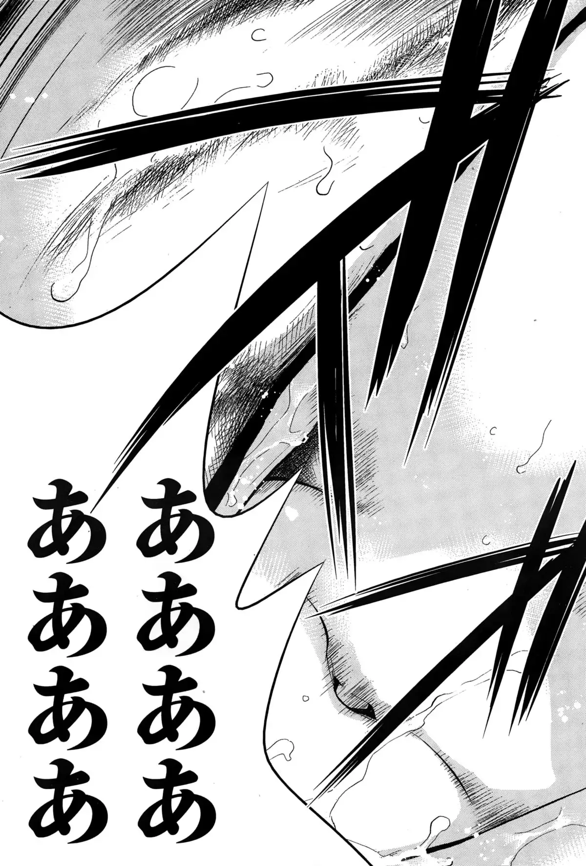 Netoraserare Ch. 1-20