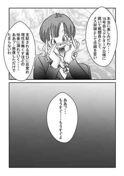 [Light Rate Port Pink] Tanjou!! Aku no Onna Senshi Jinzou Ningen 18-gou Sennou Kaizou Keikaku -Zenpen- (Dragon Ball Z)