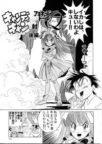 Henreikai Special Vol. 9