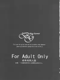 (C72) [Blue Garnet (Serizawa Katsumi)] BLUE GARNET XX - First Doll (Rozen Maiden)