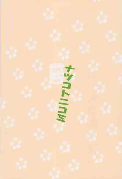 Kuma no Mitsu Atsume Full Colour Ban