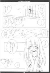 (C68) [THIRD BRAND (Katsumata Kazuki)] Illya Route Kouryaku! Kanzen Kanketsuban (Fate stay night)