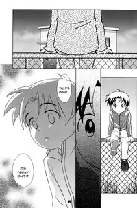 (CCOsaka52) [Tokuda (Ueda Yuu) Akiya no Bouken - The Adventure of the Empty House [English] [Shochan.org]