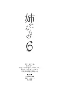 (C93) [Pochi-Goya. (Pochi.)] Ane Naru Mono 6 (Ane Naru Mono) [Chinese] [不愿透露姓名的汉化]