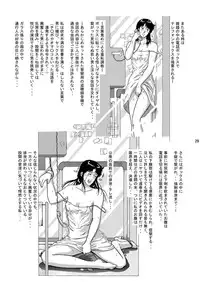 (CR35) [Atelier Pinpoint (CRACK)] NIGHTFLY vol.3 SPLIT in the DARK (Cat's Eye)