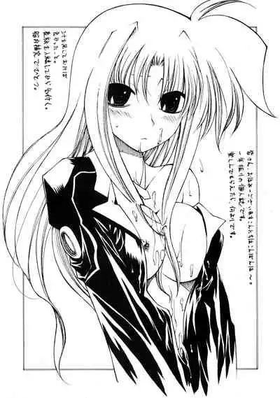(C72) [Credit (Benjamin)] Mahou Shoujo Lyrical Nanoha Adult Stage 03 (Magical Girl Lyrical Nanoha)