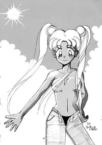 (C42) [Ringodou (Manda Ringo)] Usagi-chan Namahonban Ippatsu Shoubu (Bishoujo Senshi Sailor Moon)