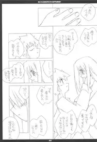 (C68) [THIRD BRAND (Katsumata Kazuki)] Illya Route Kouryaku! Kanzen Kanketsuban (Fate stay night)