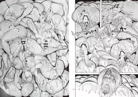 [OKTM (Sasizume Soutarou)] SZOK ~Awaatama Kangoshi (Hoka) to Derodero Kondaku Sex~ (Silent Hill) [English]