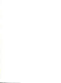 [LEVEL-X (Saeki Takao, Hagunsei, Mureten, Mimiikaki)] Shikkin Pantsu 13 (Magic Knight Rayearth)