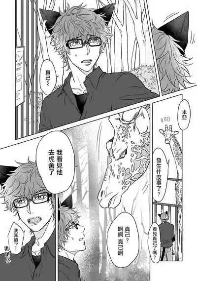 Fukurou no Koiwazurai | 猫头鹰的相思病