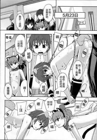 Seikou Ningyou to, Watashi - Fuckdoll and I