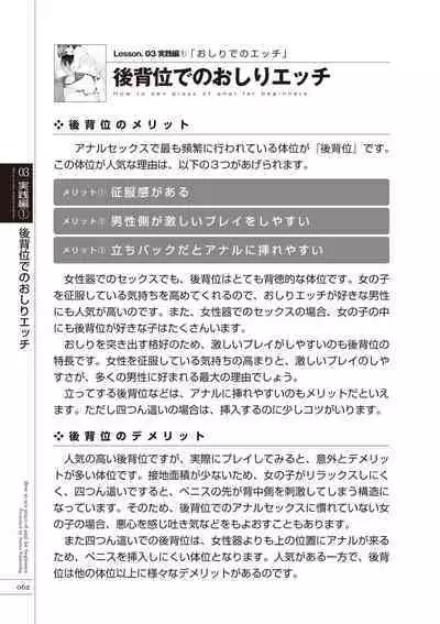 いますぐデキる 図説おしりエッチマニュアル