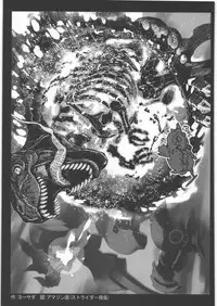 [Kacchuu Musume] Dennou Yuusai Roku