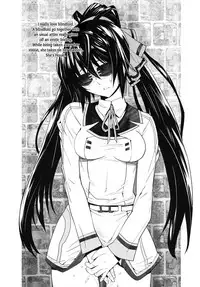 (C81) [Kouchaya (Ootsuka Kotora)] LOVE SLAVE (IS <Infinite Stratos>) [English] [VLtrans] [Decensored]