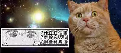 [Shiina] Noraneko Shoujo to no Kurashikata | 與野貓少女一起生活的方法 Ch. 22-30 [Chinese] [禁漫漢化組]