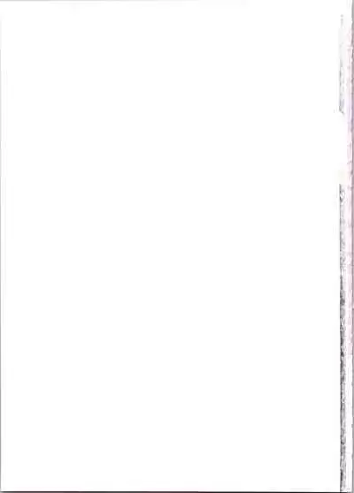 Lina Inverse Juu Shinkan ni NTR Kairaku Ochi | 莉娜・因巴斯被獸神官NTR墮入快樂