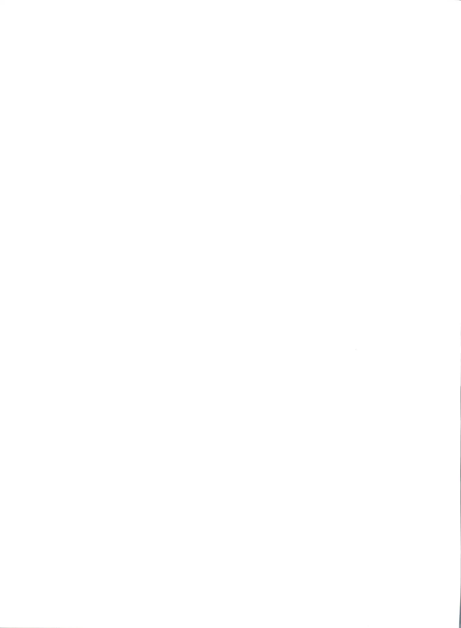 Otome-tachi no Adesugata 2