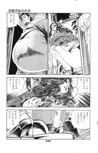 [Takashi Ishii] Tenshi no Harawata Vol. 02