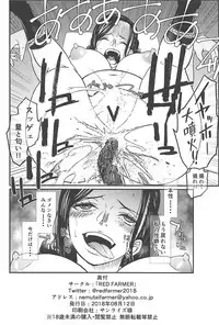 (C94) [RED FARMER (Aka Shirt Seisansha)] ROBIN'S HOLE (One Piece)