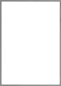 (Lyrical Magical 6) [SAZ (soba, Soukurou)] Tanumimi Mosaic (Mahou Shoujo Lyrical Nanoha) [English] [Toniglobe]