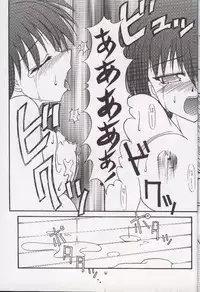 (C58) [BLUE GARNET (Serizawa Katsumi)] BLUE GARNET X DEATH&REBIRTH (GAROU Mark of the Wolves)